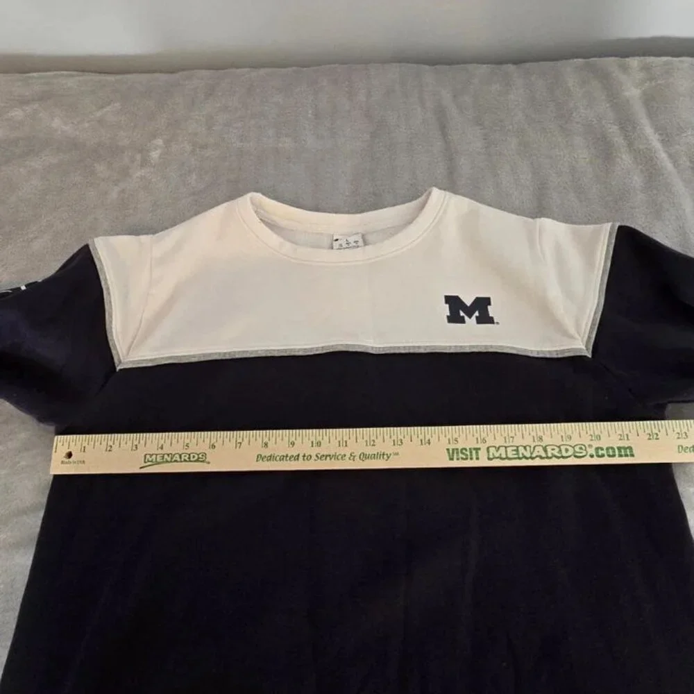 Champion University of Michigan‎ Wolverines Sweatshirt Men L Colorblock Vntg 312